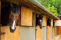 free Canewdon stable construction quotes